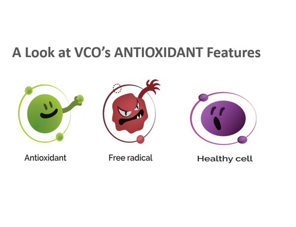 A look at Antioxidants in VCO